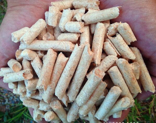 生物质午夜福利WWW在线观看械设备