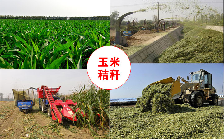 生物质午夜福利WWW在线观看械