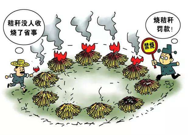 生物质午夜福利WWW在线观看械