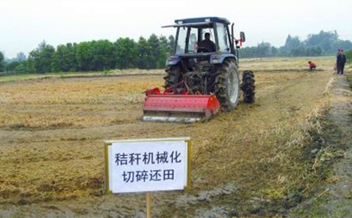 秸秆还田让“地越种越肥、产值越来越高”