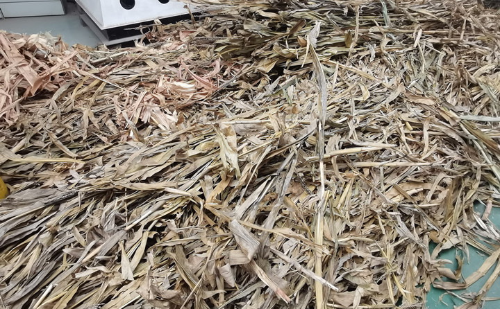 突泉县：废弃秸秆综合利用催生绿色经济