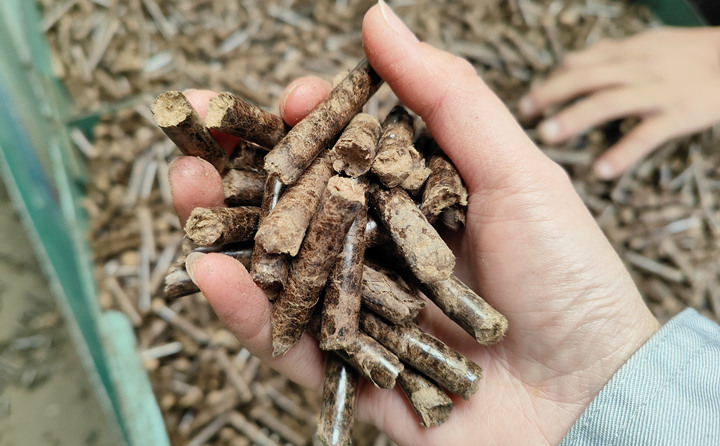 生物质午夜福利WWW在线观看加工的颗粒燃料