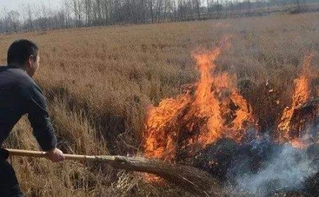 生物质午夜福利WWW在线观看解决了农村大难题！