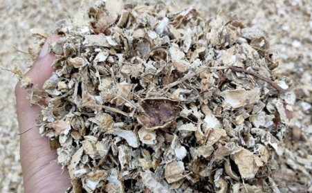 为什么有人愿意花钱买生物质燃料午夜福利WWW在线观看来加工稻壳花生壳呢？有必要吗？