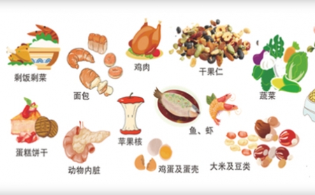 我国明确对非居民厨余垃圾处理按“产生者付费”原则计量收费,你的垃圾怎么办？垃圾生物质午夜福利WWW在线观看帮你解决