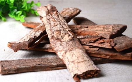 深入！为什么欧洲需要依靠可持续的生物能源