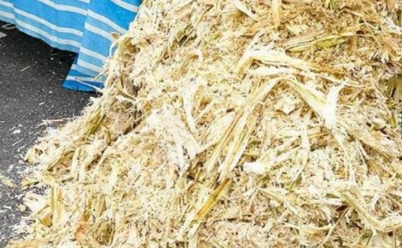 甘蔗渣想废物利用？可以考虑生物质午夜福利WWW在线观看！