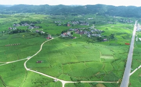 福泉：生物质颗粒智能化烘烤 助力烤烟产业提质增效