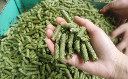 河南支持生物质能等可再生能源替代，助力实现碳达峰碳中和目标