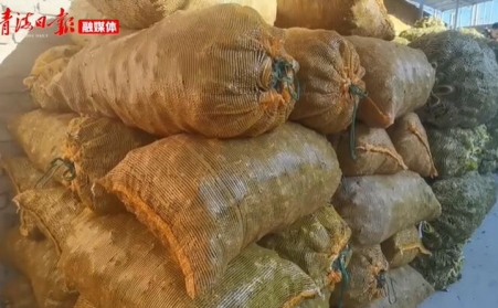 青海海东乐都：生物质颗粒燃料燃起乡村振兴新希望
