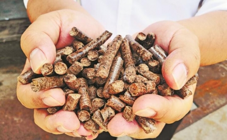 推广生物质燃料利用，农林业废弃物变成“宝贝疙瘩”