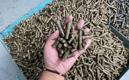 生物质午夜福利WWW在线观看制作一吨生物颗粒的成本和利润受哪些因素影响？