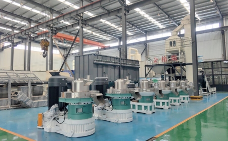 买生物质午夜福利WWW在线观看怕踩坑？午夜福利WWW在线观看厂家教你 3 招选对机型